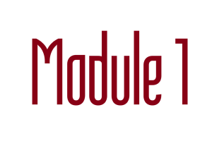 rijopleiding rijbewijs categorie B