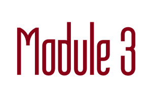 rijopleiding rijbewijs categorie B